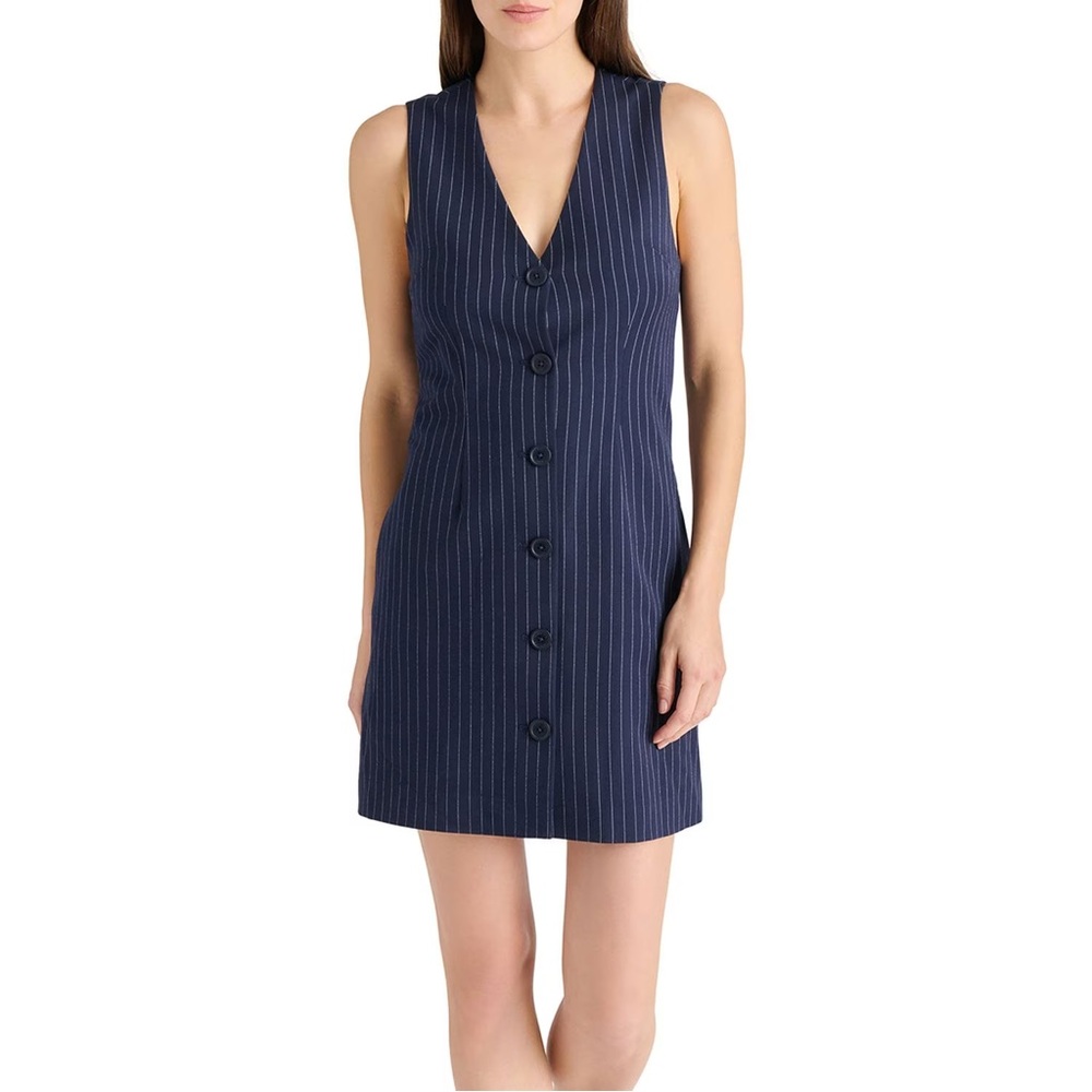 Steve Madden Women’s Navy Pinstripe Sleeveless Mini Dress NWT